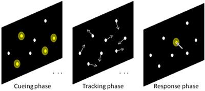 Position Affects Performance in Multiple-Object Tracking in Rugby Union Players